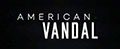 American Vandal